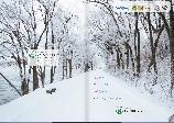 마포 vol. 11