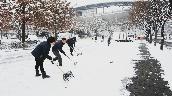 마포농수산물시장 재설작업