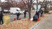 시장 주차장 낙엽 청소